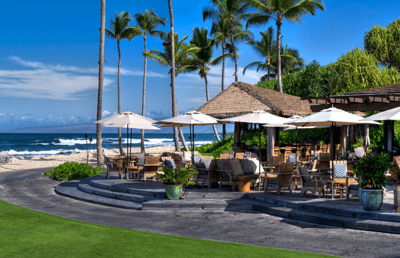 Beach Tree Bar